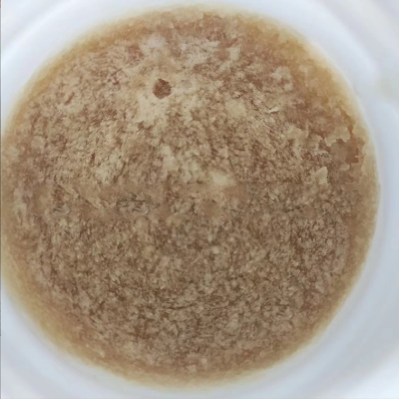 Microbial Fungicides Prochloraz 96%TC Cas 67747-09-5