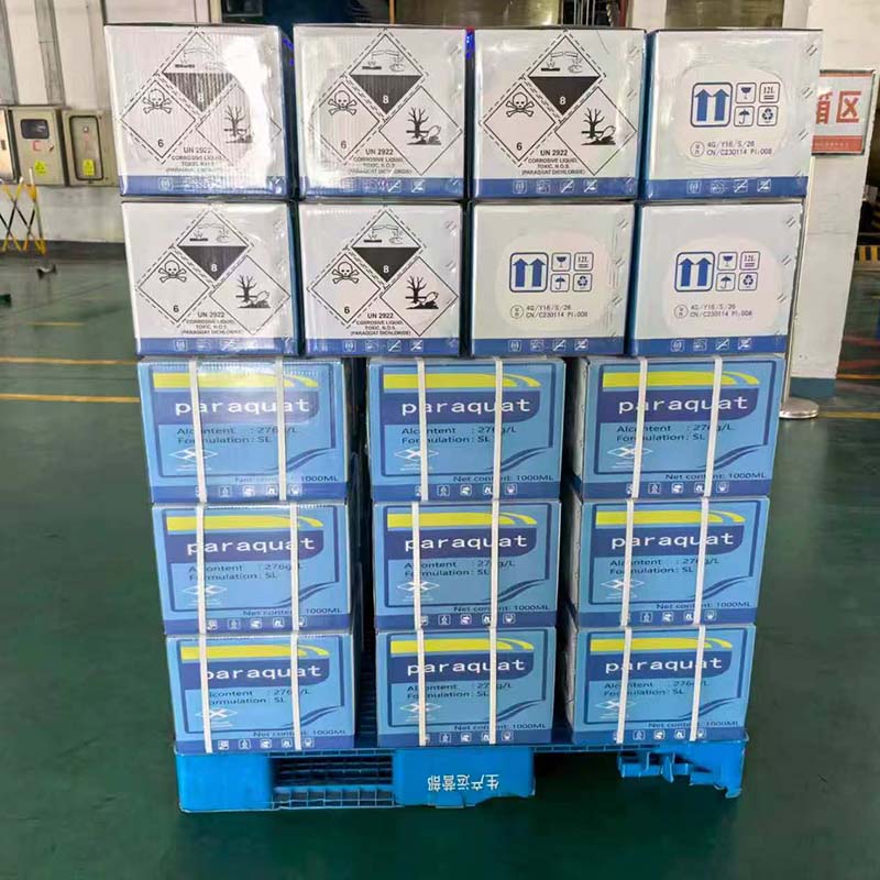 20% Paraquat SL For Sale (Export Only)