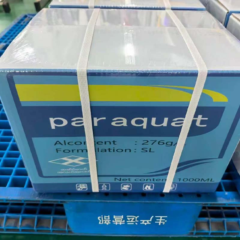 20% Paraquat SL For Sale (Export Only)