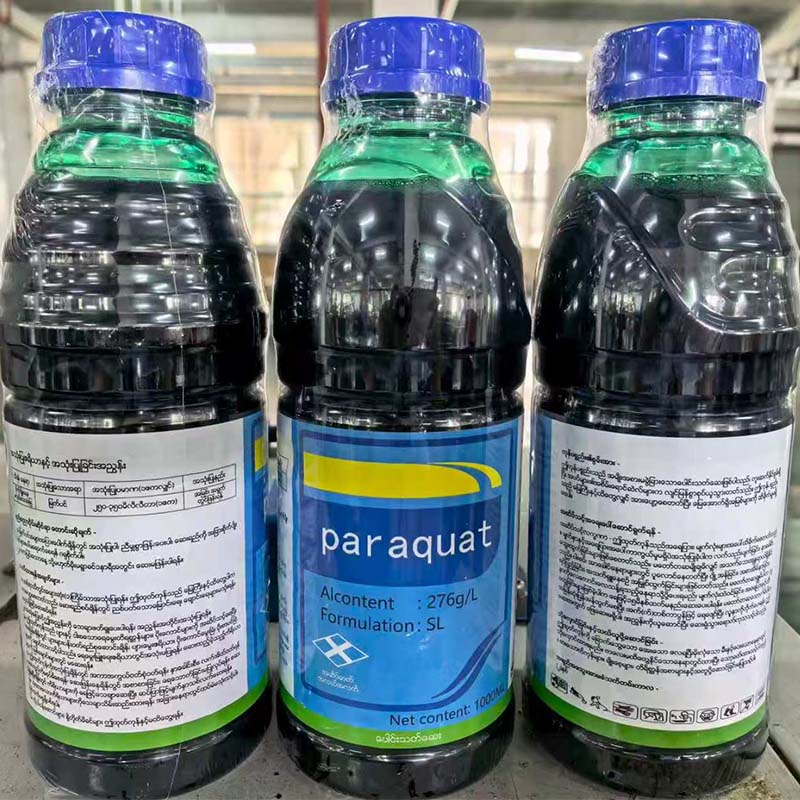 20% Paraquat SL For Sale (Export Only)